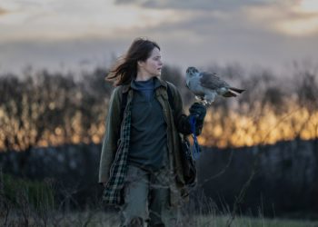 ‘H Is For Hawk’ Review: Claire Foy Soars High In True Drama About A Woman And A Goshawk Who Bond Over Life And Loss – Telluride Film Festival