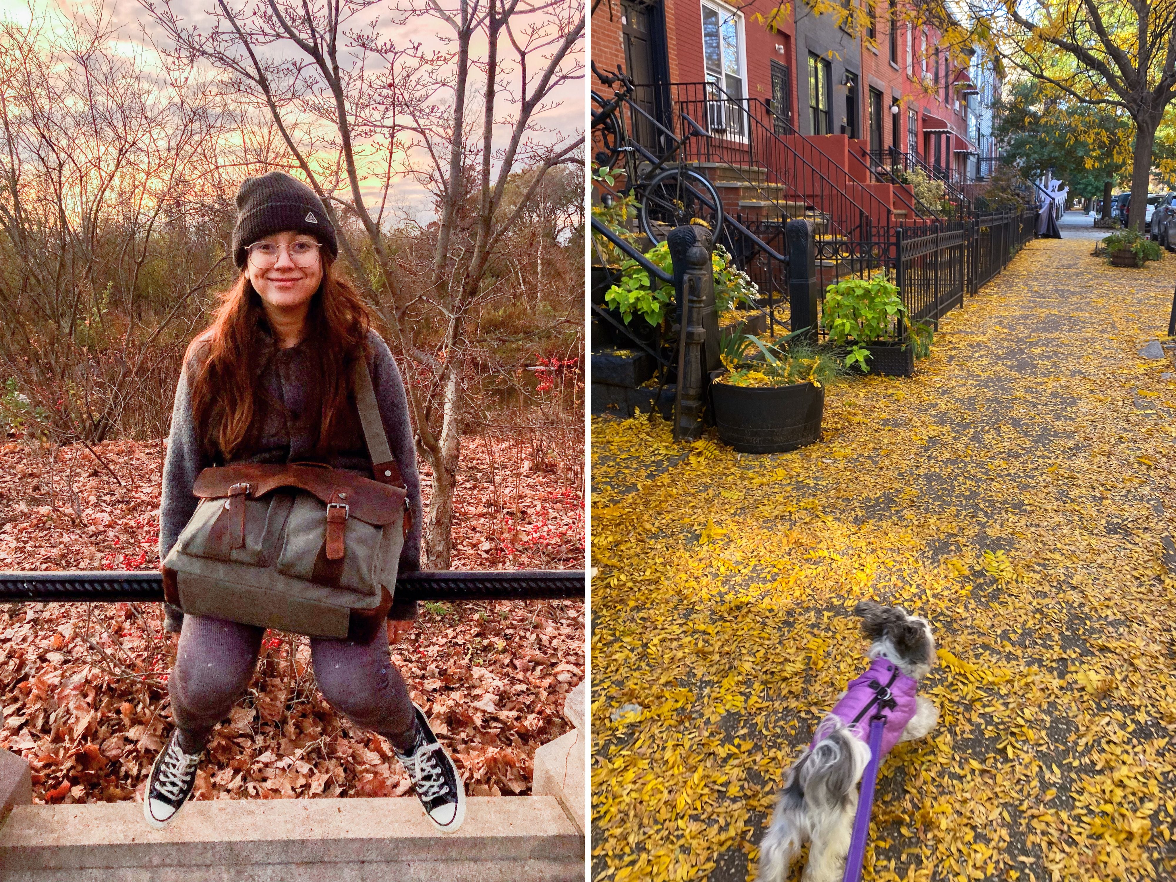A composite image of the author sitting on a railing in a park at sunset with fall leaves on the ground behind her and a leashed, small dog running on a sidewalk covered in yellow leaves.