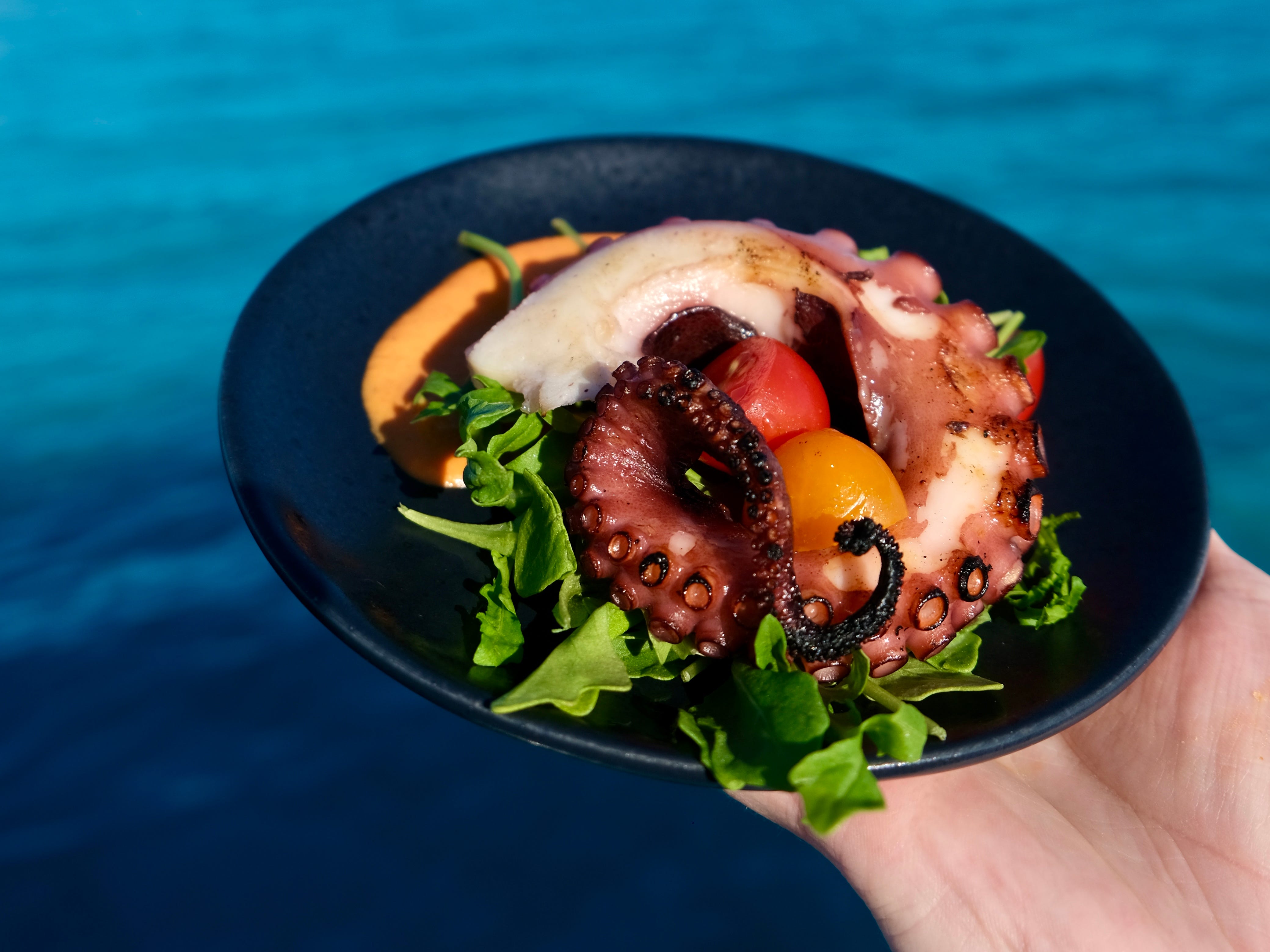 octopus salad yacht