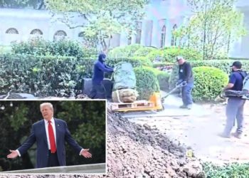 Trump blasts ‘stupid’ contractor who damaged White House custom Rose Garden limestone