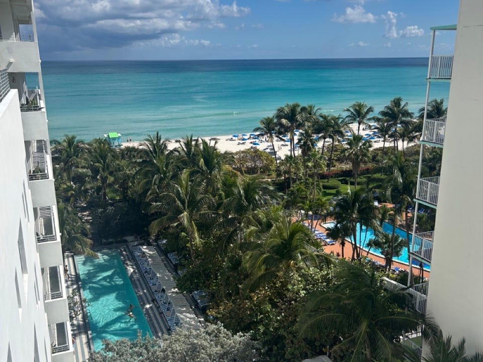 Views of palm trees from Soho Beach House