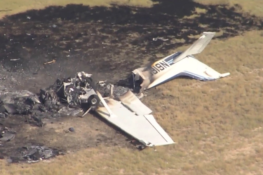 Burned wreckage of a small plane in a field.