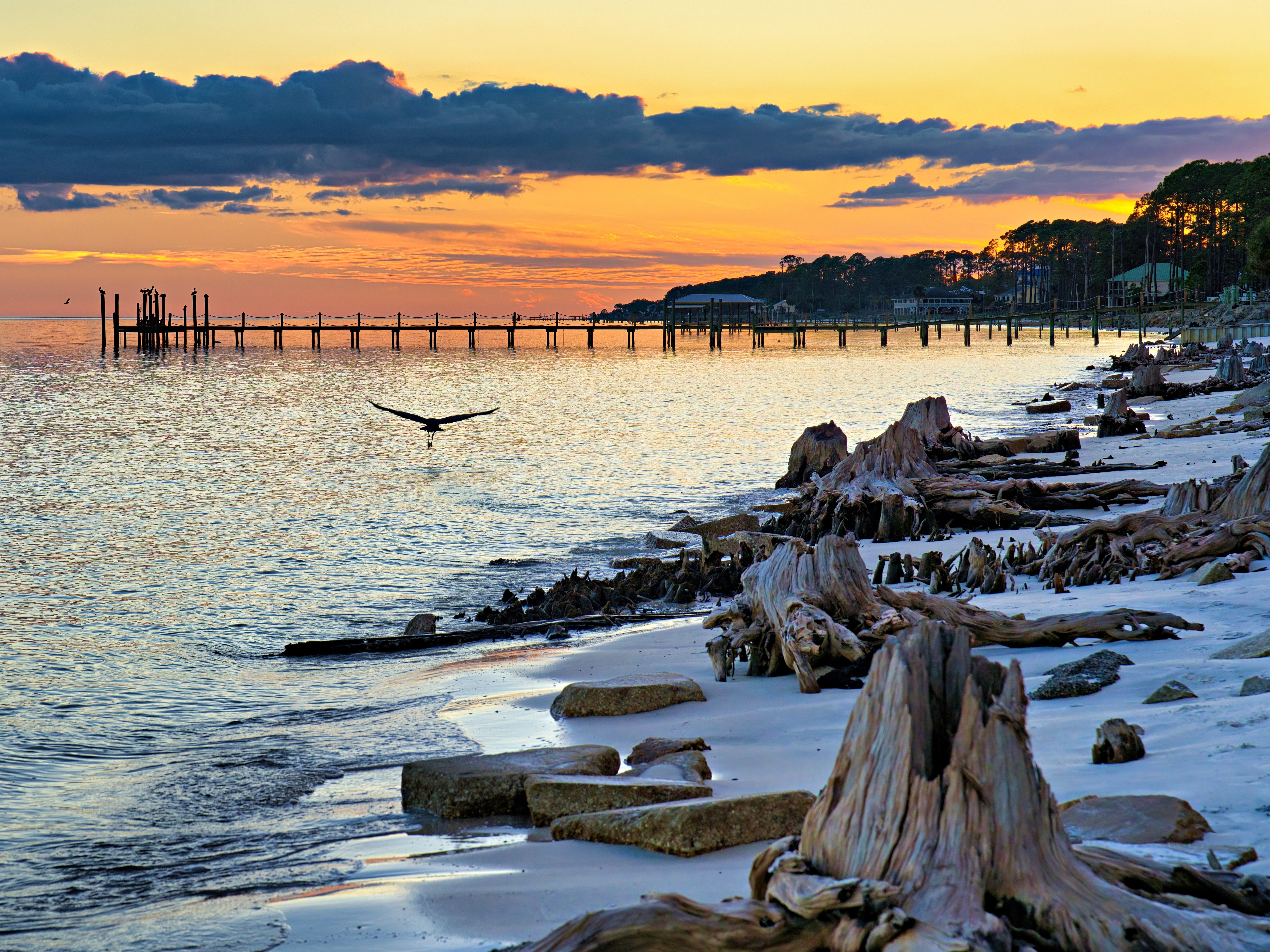Driftwood Beach in Georgia.