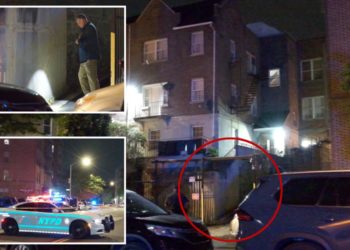 44-year-old woman killed in NYC hit-and-run by reckless driver turning into driveway