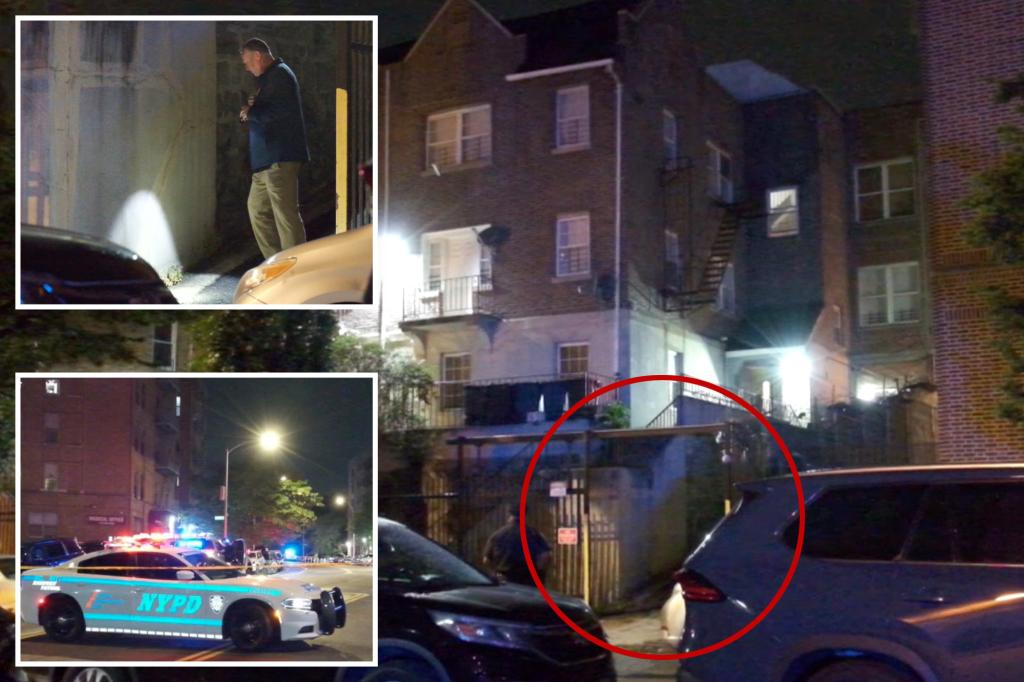 44-year-old woman killed in NYC hit-and-run by reckless driver turning into driveway