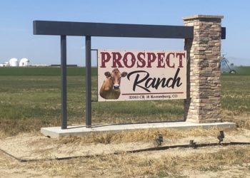 6 bodies are recovered from a Colorado dairy. Authorities suspect an accident involving gas exposure