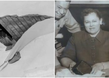 Only one person has ever been hit directly by a meteorite. Here’s the strange story of Ann Hodges.