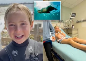 9-year-old girl bitten by sea lion in rare attack while at surf camp: ‘I was like, Oh my gosh … and it just bit me’