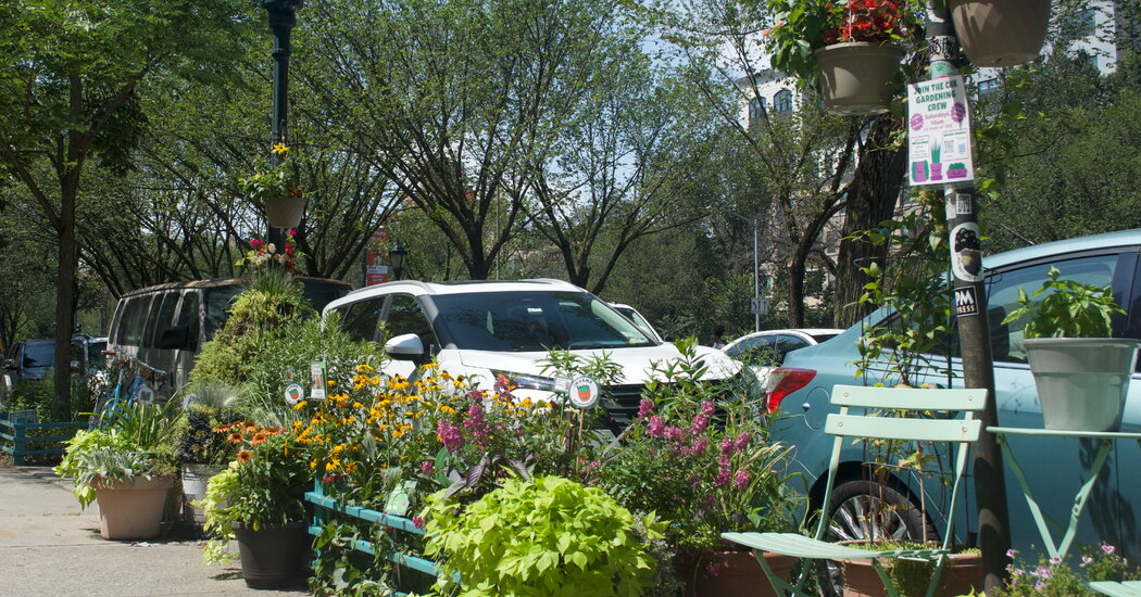 A Garden in Brooklyn Bridges a Gentrification Divide