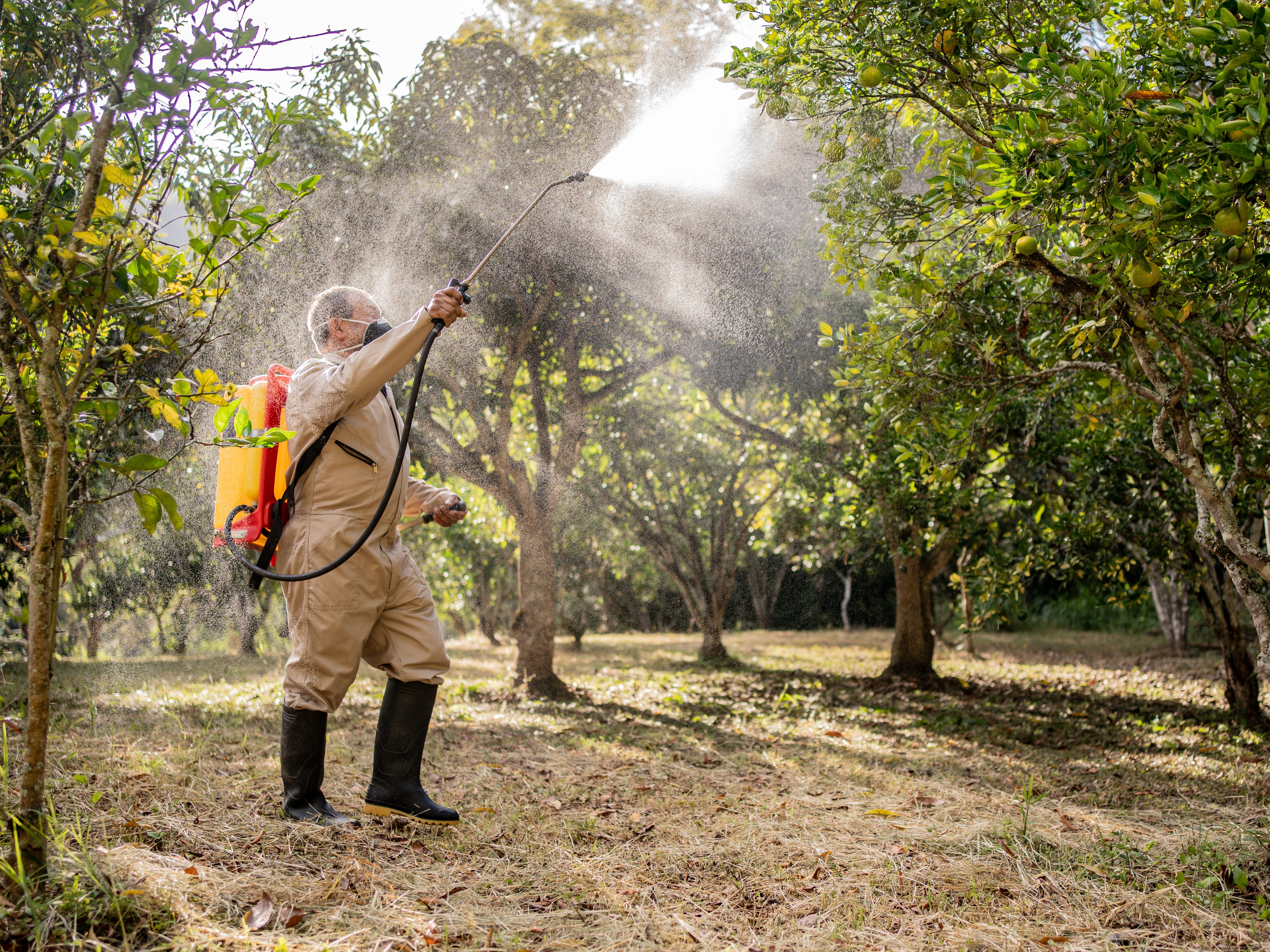 An exterminator spraying insecticide on a farm