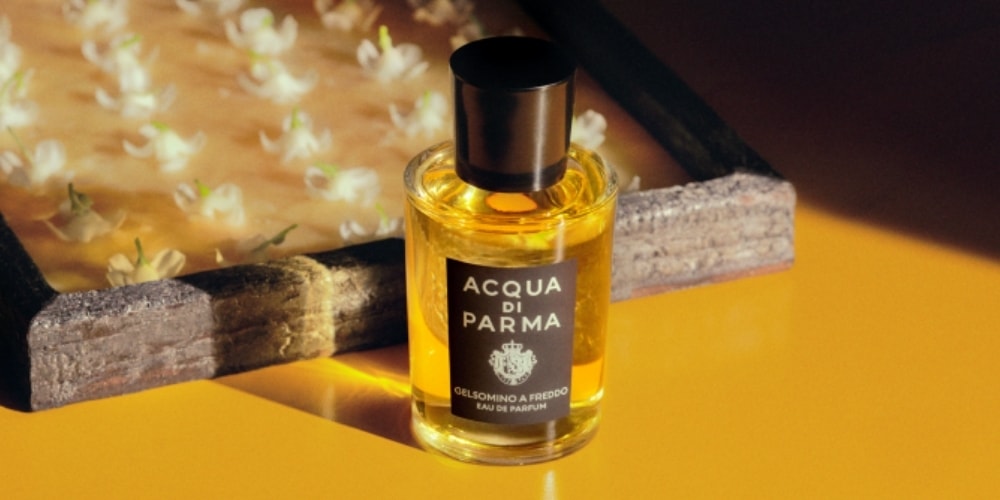 Acqua Di Parma’s “Gelsomino a Freddo” Fragrance Is Crafted Using Ancient Cold Enfleurage Technique