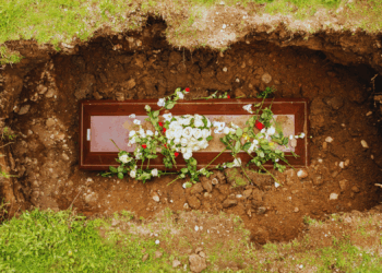 American Millennials (and Elder Gen Z) Are Dying Young