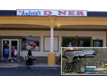 BB gun-wielding man fatally shot by off-duty cop on Staten Island had at least 22 prior arrests: police sources