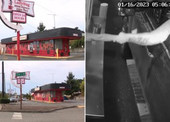 Bikini-clad barista nearly abducted by teen creep who tried to yank her out drive-thru window