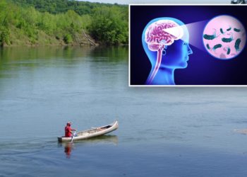 Brain-eating amoeba kills Missouri patient at St. Louis hospital