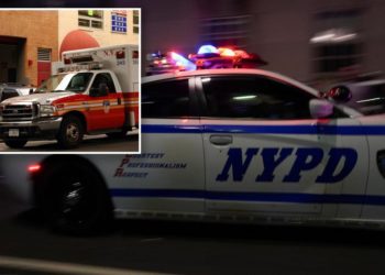 Bronx woman driving 77 mph in 25 mph zone indicted for killing cab driver after DNA found on airbag: DA