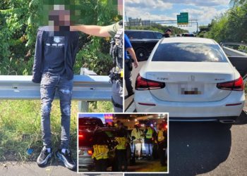 CBP agents foil carjacking suspect in DC amid Trump’s push to make the city ‘safe and beautiful’