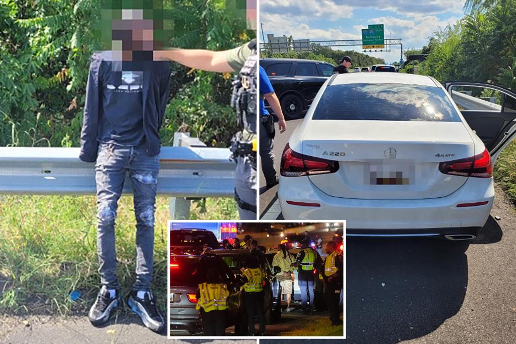 CBP agents foil carjacking suspect in DC amid Trump’s push to make the city ‘safe and beautiful’