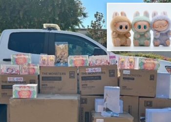 California police recover $30K worth of Labubu dolls after they were stolen from warehouse