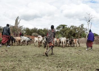 Can UNESCO Accommodate Both Preservation and Human Rights?