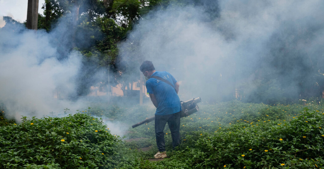 China’s Mosquito Crackdown Tests a City’s Post-Covid Patience