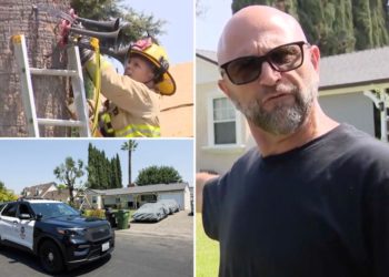 Crazy homeowner torturing neighbors with train horns heard for miles away: ‘I’m going to keep on blowing’