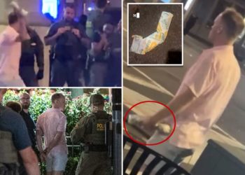 DC native who filmed ex-DOJ worker sling subway sandwich at federal agent speaks out