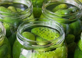 Dill pickle flavor emerges as 2025’s new foodie trend