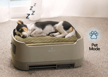 Dog Allergies? This Pet Bed Is Also an Air Purifier.