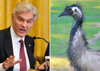 Dr. Oz urges Canada to toss aside court ruling to save the ostriches: ‘Maybe they’ve got secrets’