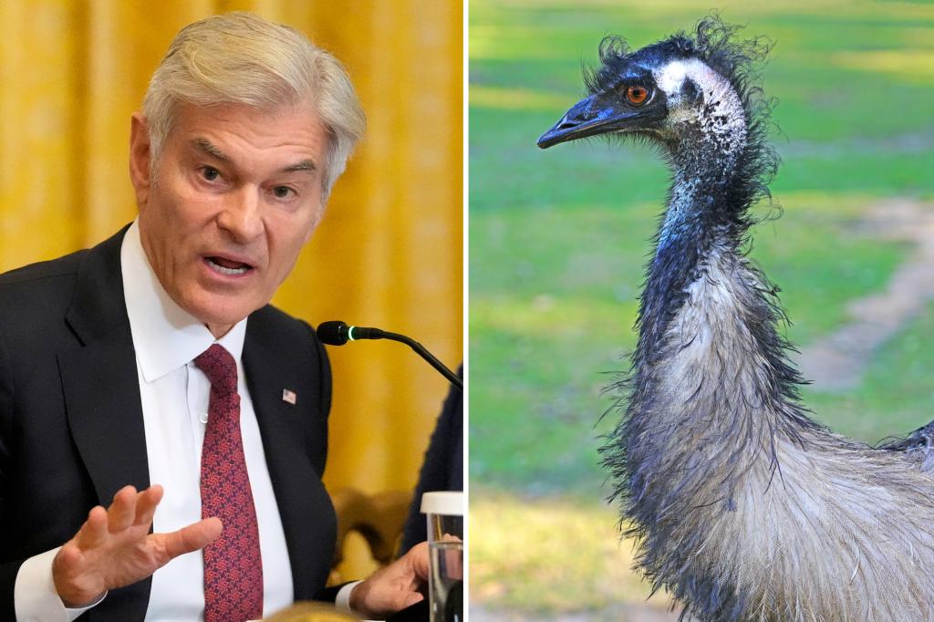 Dr. Oz urges Canada to toss aside court ruling to save the ostriches: ‘Maybe they’ve got secrets’