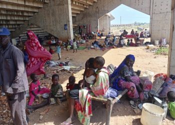 Drone attack destroys 16 trucks carrying UN food to Sudan’s famine-hit Darfur region