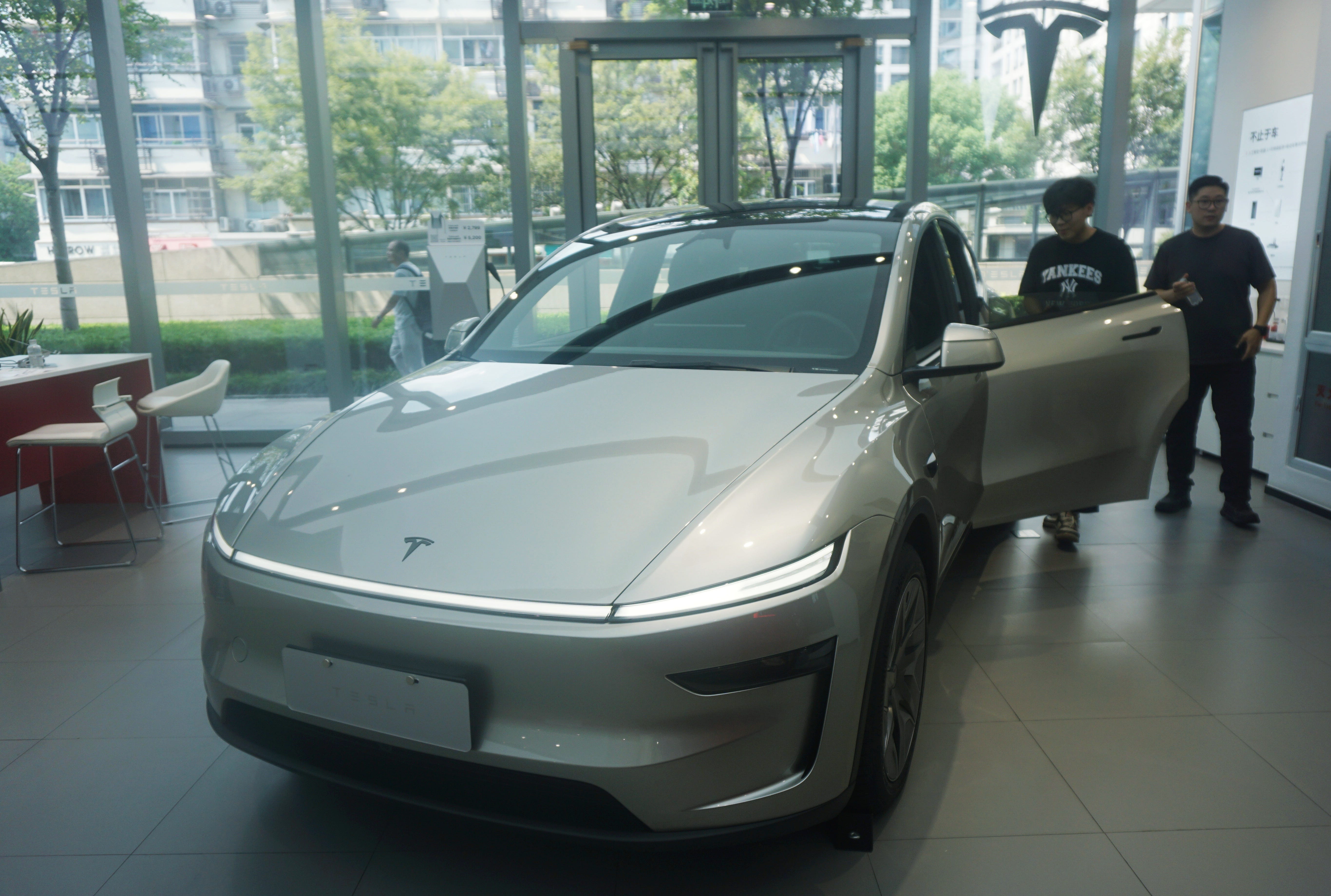 Model Y L