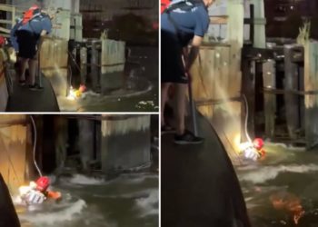 FDNY swimmer saves person clinging to bottom of bridge in East River in dramatic nighttime rescue: video