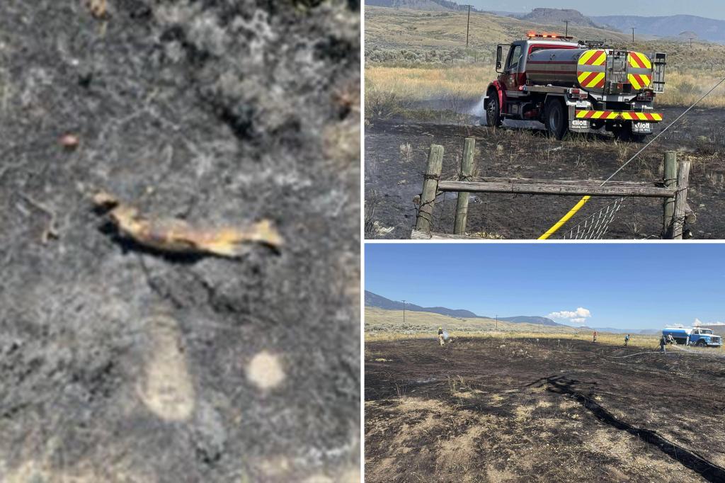 Fish suspected of sparking blaze that knocked out power to 1,500 people