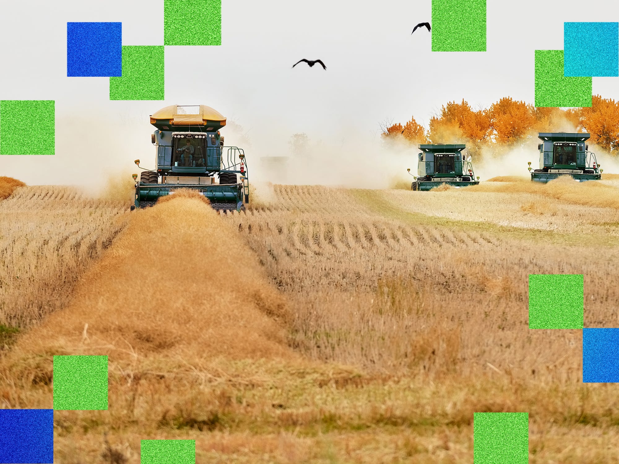 Combine harvester machines working on a farm harvesting the crop
