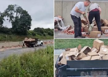 Hot dogs spill across Pennsylvania interstate after tractor trailer crash to clog commute for steamed motorists