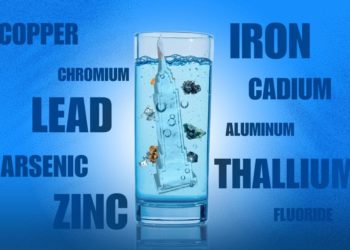 How clean is New York City’s water really? We had it tested for contaminants and forever chemicals