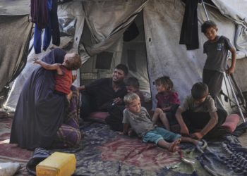 How one Gaza family dedicates each day to finding enough food to survive