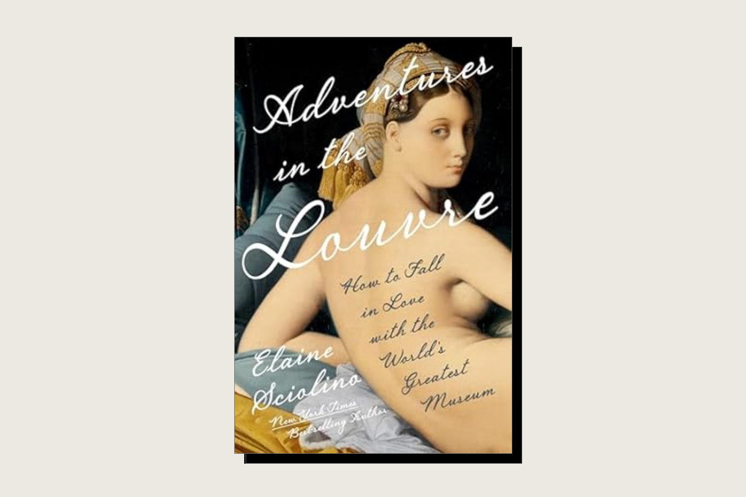 The book cover for Adventures in the Louvre.
