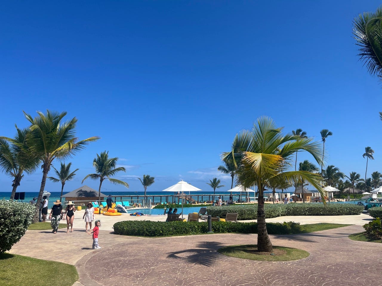Pool surrounded by palm trees and shrubbery near water