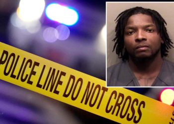 Illinois man allegedly drugged pregnant girlfriend with abortion pills to cause miscarriage