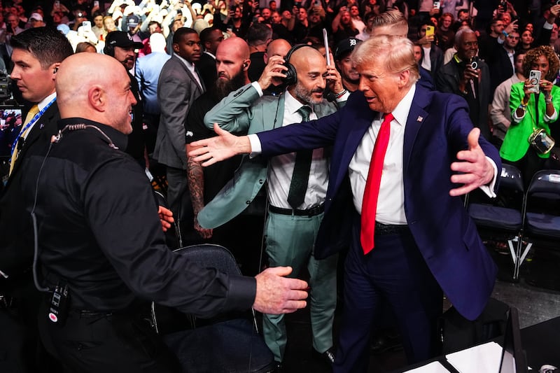 A few weeks after Donald Trump appeared on The Joe Rogan Experience, he was endorsed by the podcast host.
