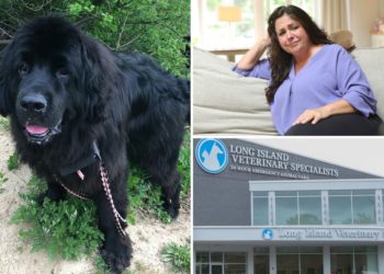 LI animal hospital left beloved dog to die, charged $2,500-a-night — and lied about his condition, grieving owners claim