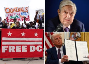 Left-wing dark-money megadonors, including George Soros, contribute $20M to groups funding protests against Trump’s DC crime crackdown