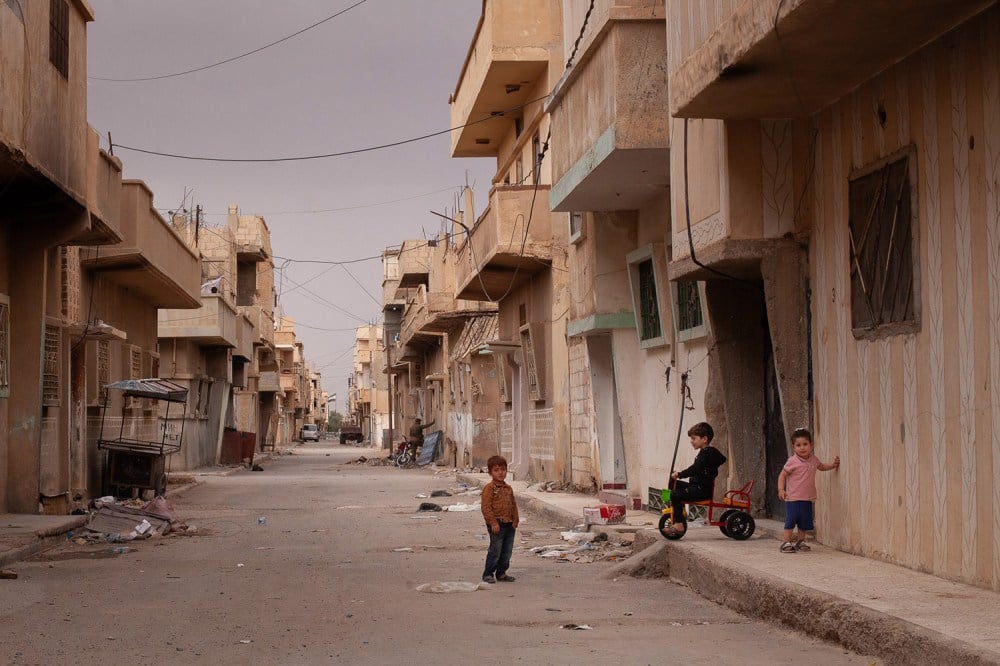 Life Returns to Palmyra