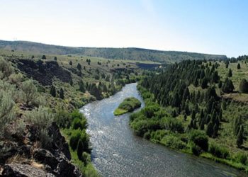 Life-size sex doll found in Idaho river after cops spend 3 hours searching for reported body