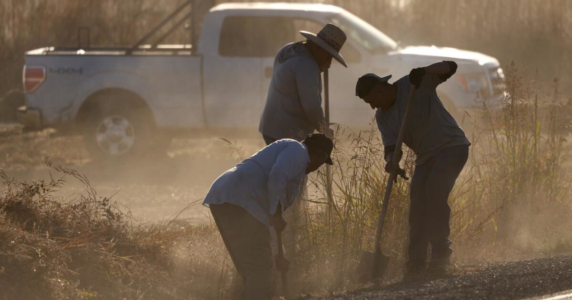 Los trabajadores agrícolas siguen muriendo por enfermedades relacionadas con el calor, 20 años después de que California se comprometiera a protegerlos.