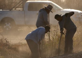Los trabajadores agrícolas siguen muriendo por enfermedades relacionadas con el calor, 20 años después de que California se comprometiera a protegerlos.