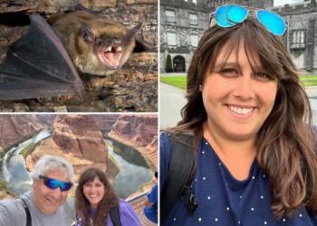 Massachusetts woman hit with five-figure medical bill after a wild bat flew into her mouth on vacation